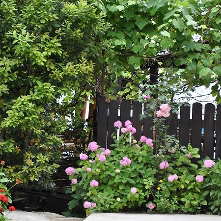 New Athos Mini Hotel Lidia المظهر الخارجي الصورة